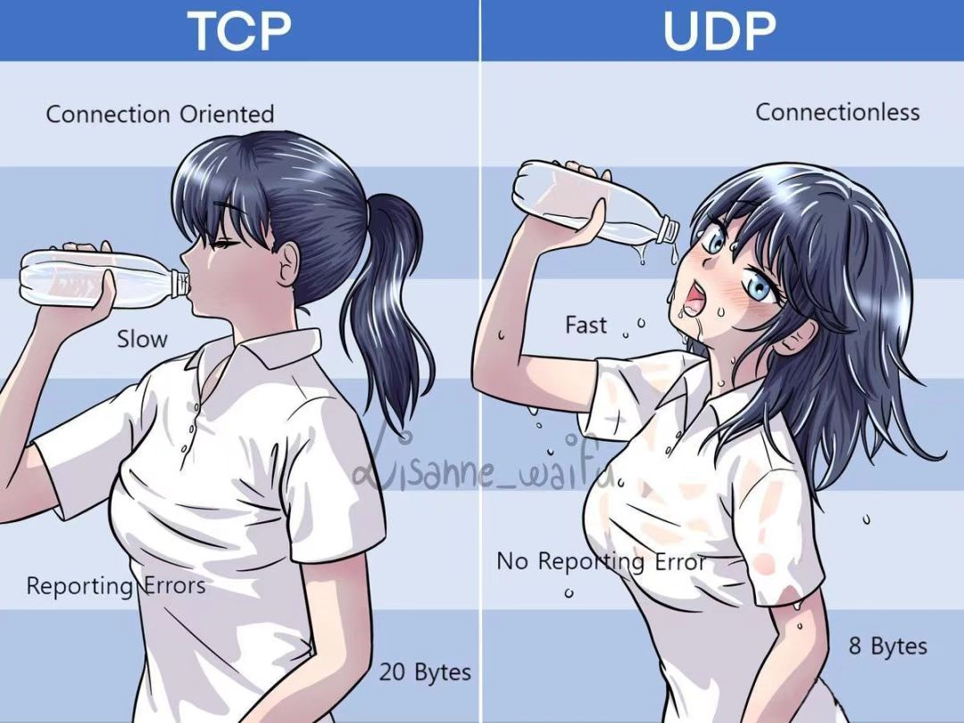 TCP 和 UDP 的爱恨情仇