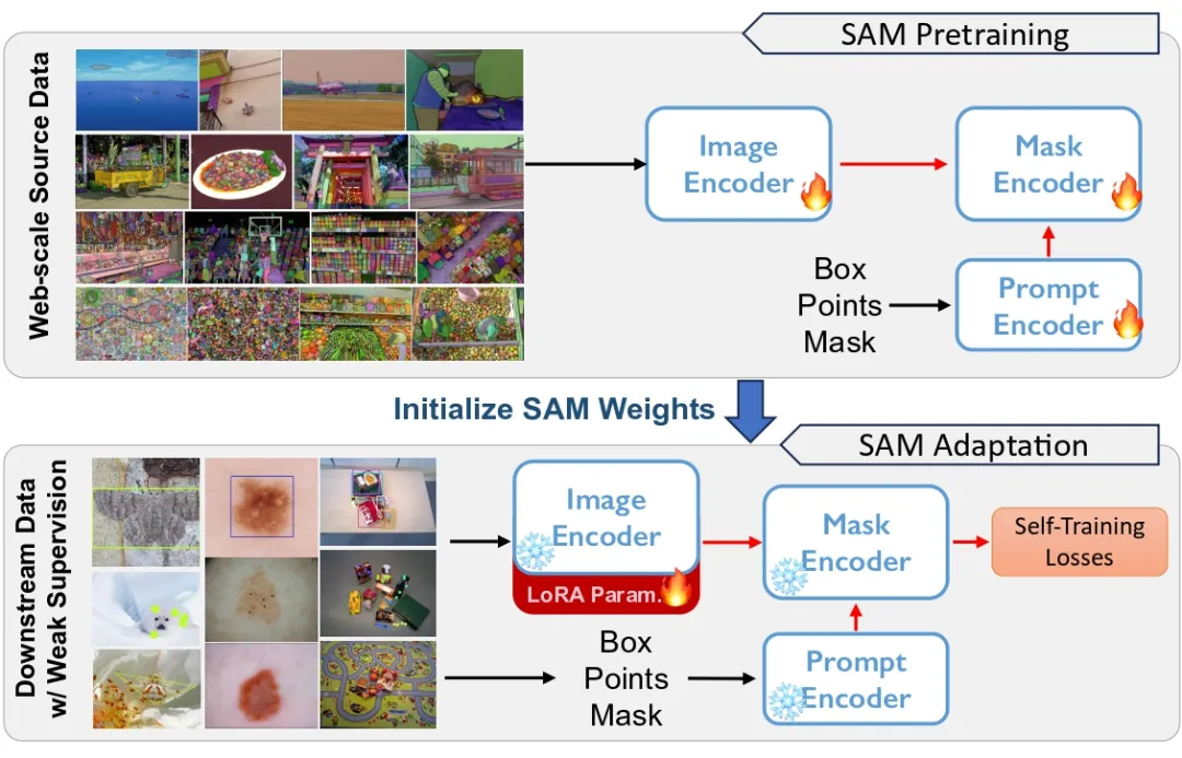 CVPR 2024 | 分割一切模型SAM泛化能力差？域适应策略给解决了-AI.x社区