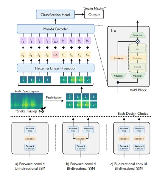 基于Mamba架构的，状态空间音频分类模型AUM-AI.x社区