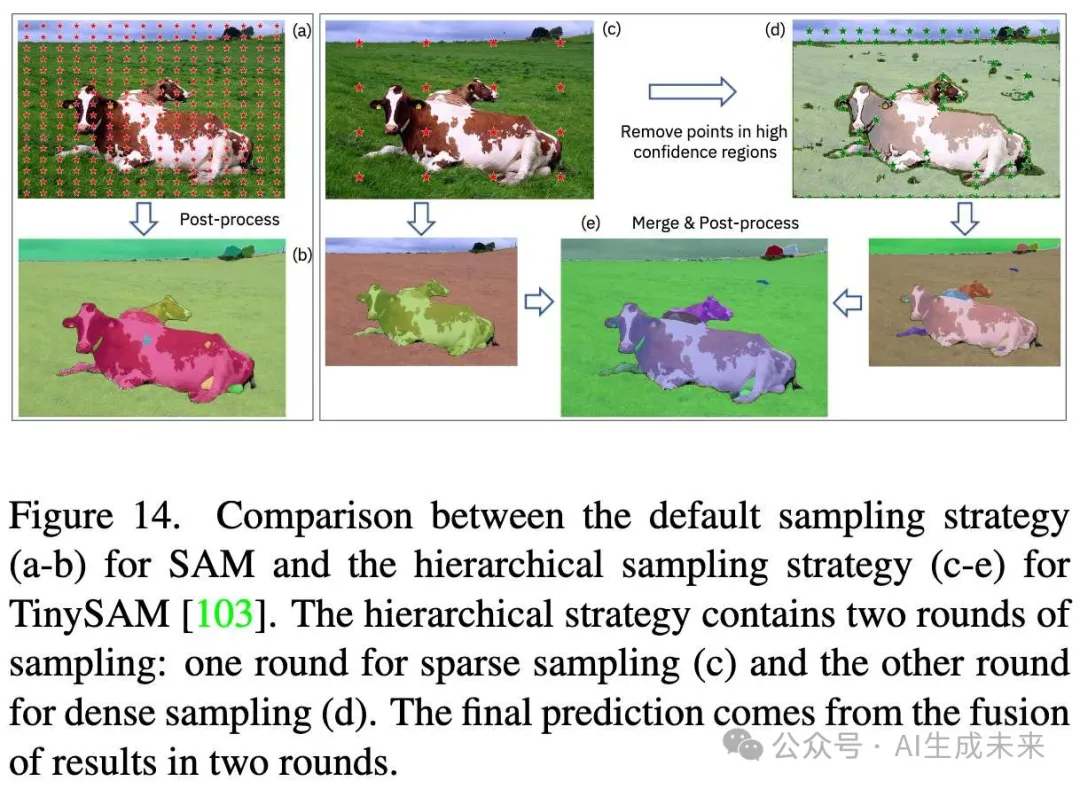 首篇！全面解读高效Segment Anything模型变体：各种图像分割加速策略和核心技术展示-AI.x社区