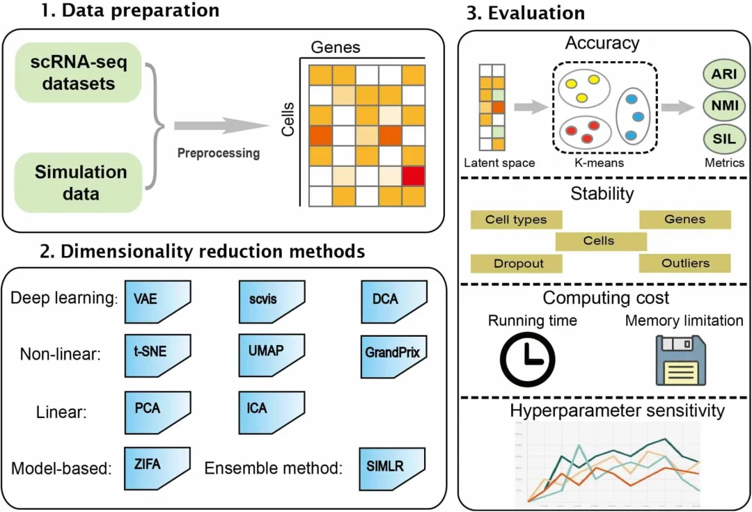 一文彻底搞懂机器学习 - 聚类与降维（Clustering And Dimensionality Reduction）-AI.x社区