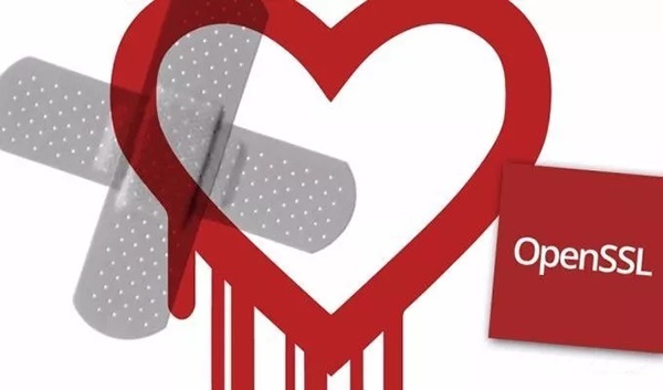 小错误引发大危机——心脏出血到底是什么？