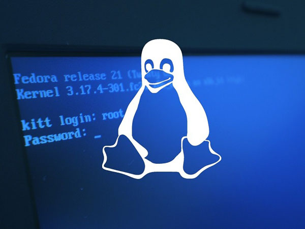 每个开发人员应该知道的10个Linux命令